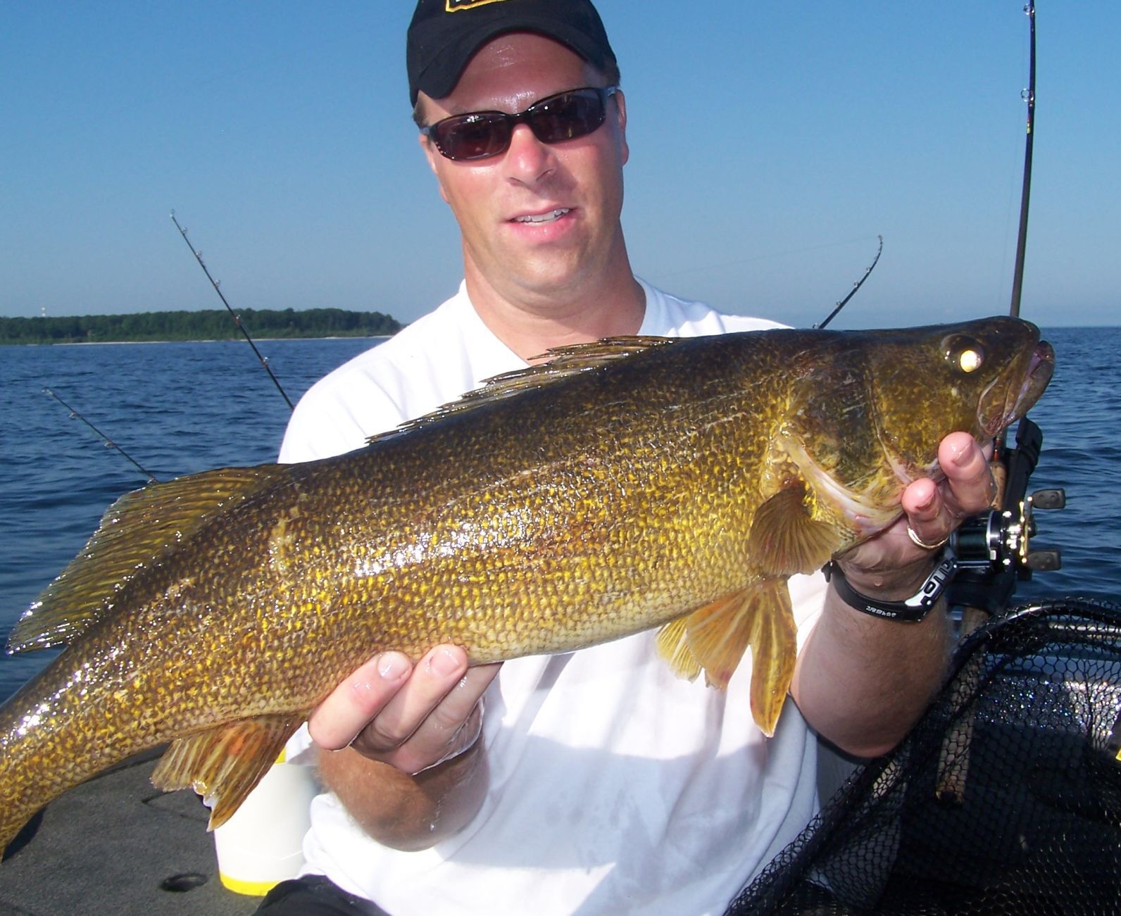 Special walleye